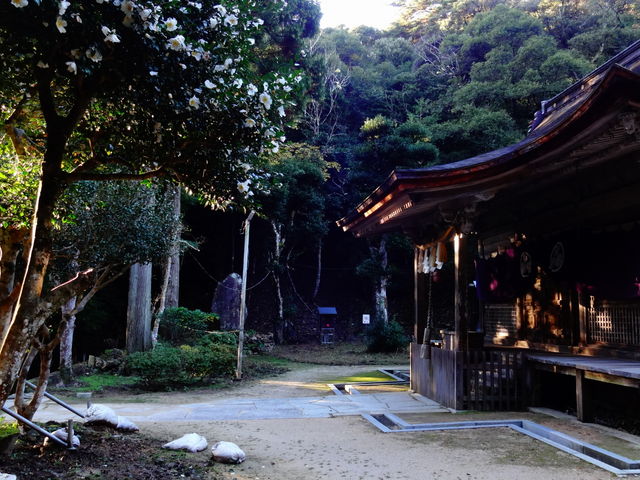 ǁ[̒擌Ƌ{{aAqaAa̓eʐ^2