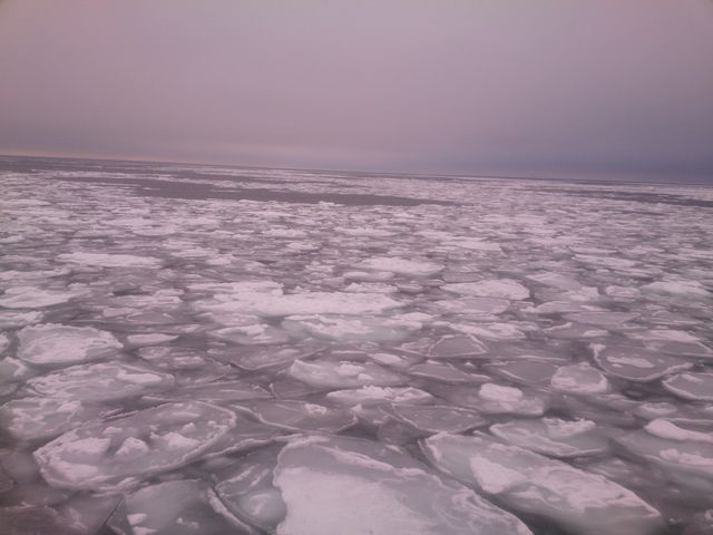 �K�����R������_���X�ӕX�D �K�����R���U