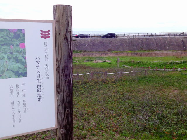 �n�}�i�X��������n��_�n�}�i�X��������n��