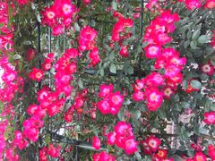 井頭公園の口コミ一覧 じゃらんnet