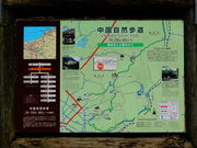 ���ǁ[����̒������R�V�������f���R�[�X�̓��e�ʐ^1