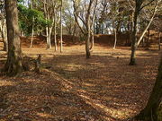 ���ǁ[����̑��}���̓��e�ʐ^1