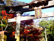 ǁ[̒擌Ƌ{iF殐_Ёj̓eʐ^1