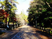 ǁ[̒擌Ƌ{iF殐_Ёj̓eʐ^2