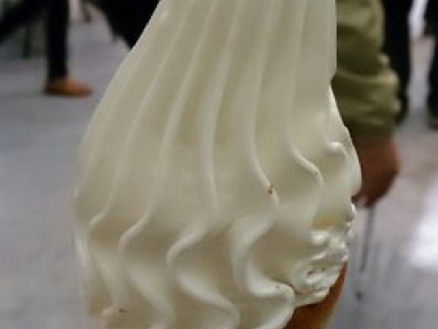 ���X�̃\�t�g�N���[��_���َR���[�v�E�F�C