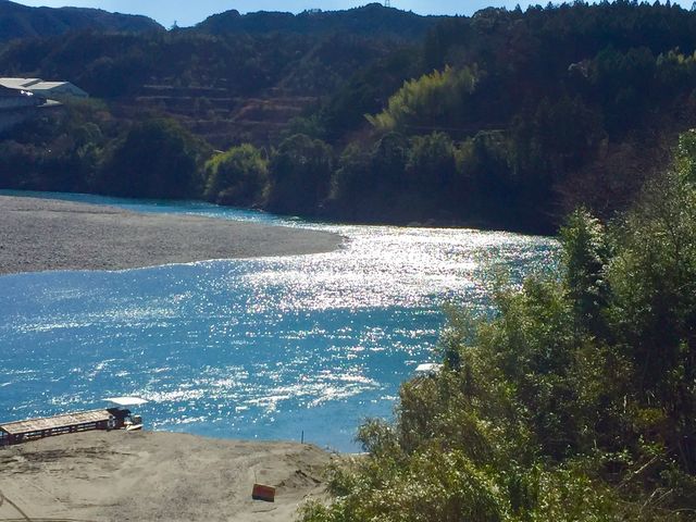 ���V�C�������Ɛ삪�L���L���ƋP���Č����܂��B_���`�D�m����