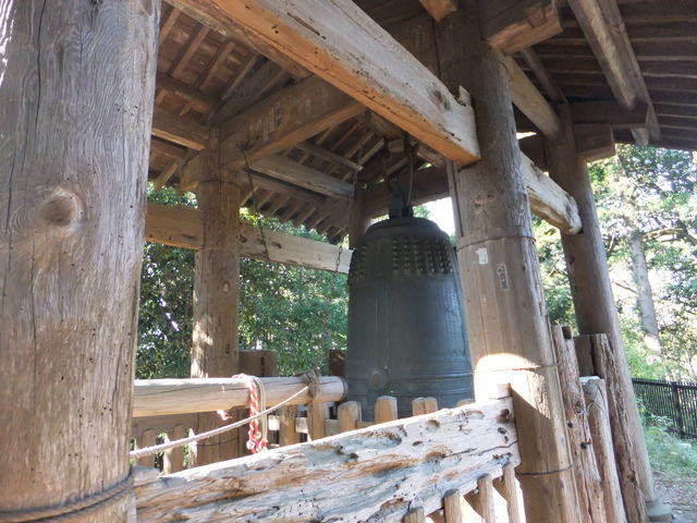 �~�o���@����^��_�^���i�~�o���j