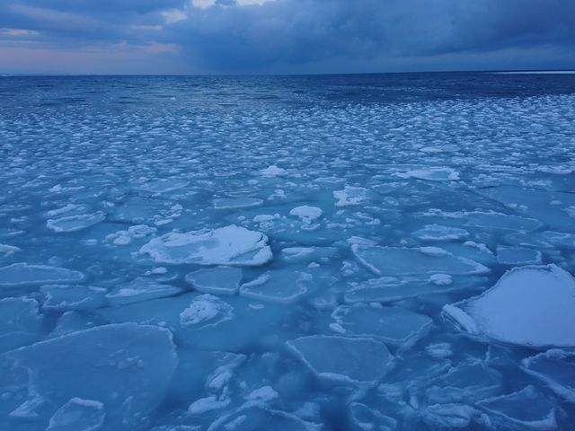 �K�����R������̗��X_�I�z�[�c�N�C�̗��X