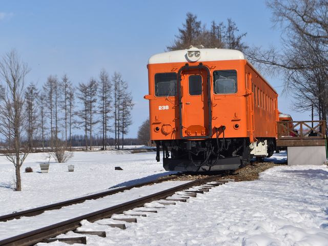 �����̎ԗ�_�K���w�i�K���S�������j