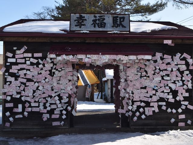 �w��_�K���w�i�K���S�������j