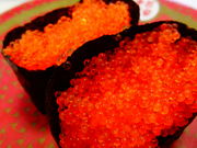 ǁ[̂͂܎i cX̓eʐ^1