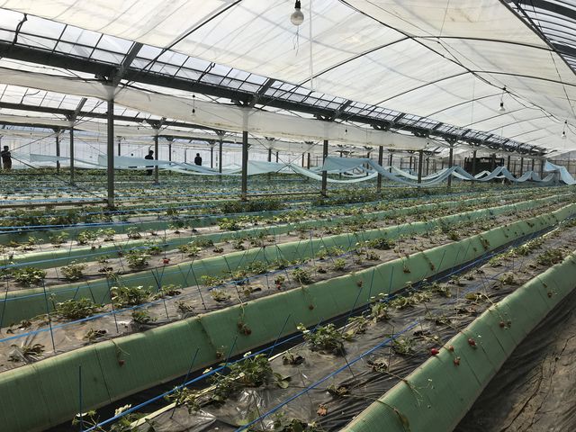 ��������ł����̂ŋ󂢂Ă��܂������A���ꂾ���L����΁A�����ł���Ǝv���܂�(^^)_�S��������