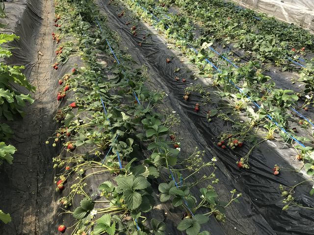 ��������������e���V�����オ��܂�(^^)_�S��������