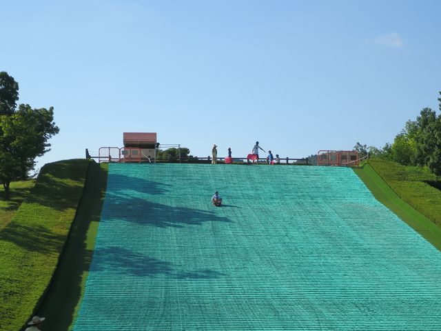 �\��_�s���l�G�̐X