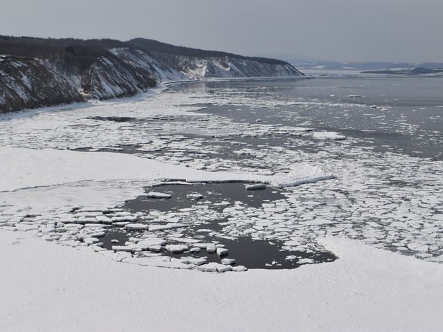 �����O�̗��X�X�|�b�g_�\�斦�C��