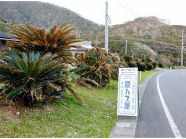 �u���n�u���F�ē��Ŕv_���n�u������