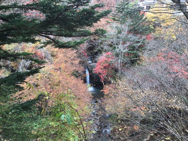 �����Ȃ��̂ł��B_����̑�