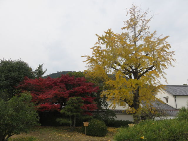 �I�ь��� �g�t1_�I�ь����̍g�t