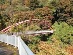 トシローさんのわらべ橋への投稿写真1