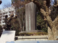 �A���_�[����̐����J�����ւ̓��e�ʐ^1