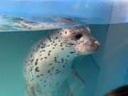 tara̐VۂTsAUق̓eʐ^1