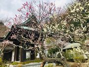 �߂̂�����̊C�����̓��e�ʐ^4