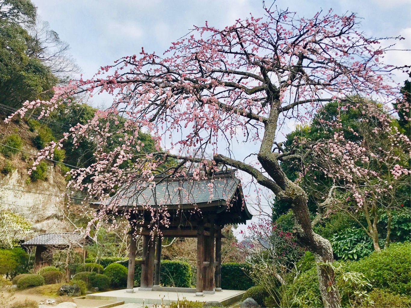 関東のその他神社 神宮 寺院ランキングtop10 8ページ目 じゃらんnet