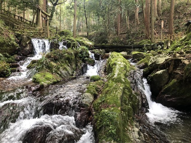 �i�ς���_�ዷ�Z����������