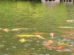 tos����̔��F���ւ̓��e�ʐ^1