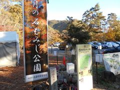 �g�V���[����̌��̐΂��݂������ւ̓��e�ʐ^1