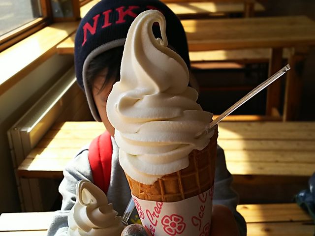�\�t�g�N���[��_���̉w ����˂䉷��