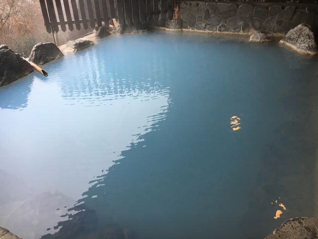 ���ɂ���ĐF���ς��܂�_�L��̓��@�W�]�I�V���C