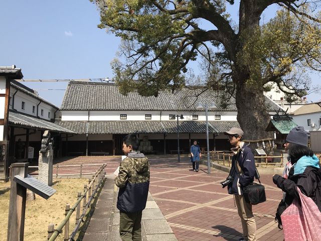 ���˂̋�_���˂̋�