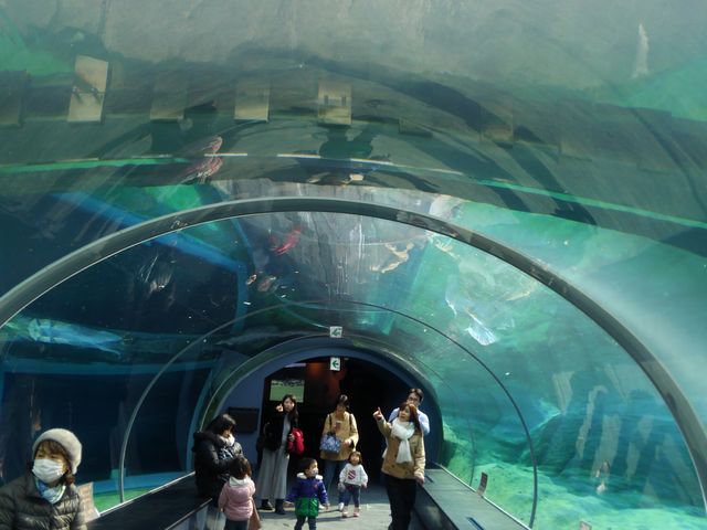 ���̏���A�U���V���j���܂�_�~�R������