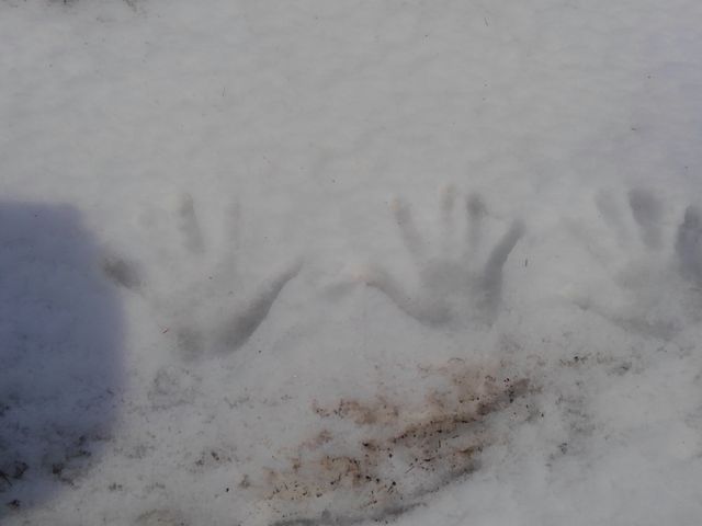 ��ǂɎ�̐Ղ��c���Ă��܂���_�~�R������