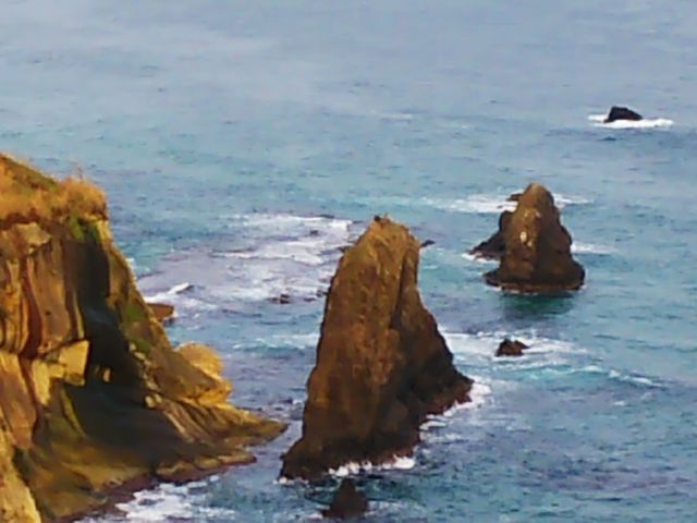 ��̊�_������