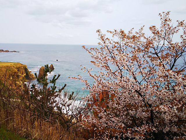 ���̌�������_������