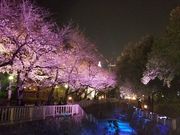 �W�P�P�S�S����̉����e�������̓��e�ʐ^1