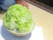 ۂɂ傳̐ԕ {OxX̓eʐ^1