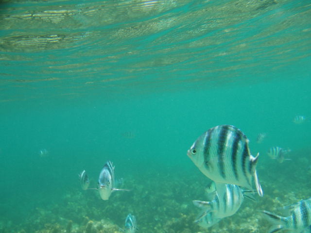 ��������̋�_�Ɍv�r�[�`