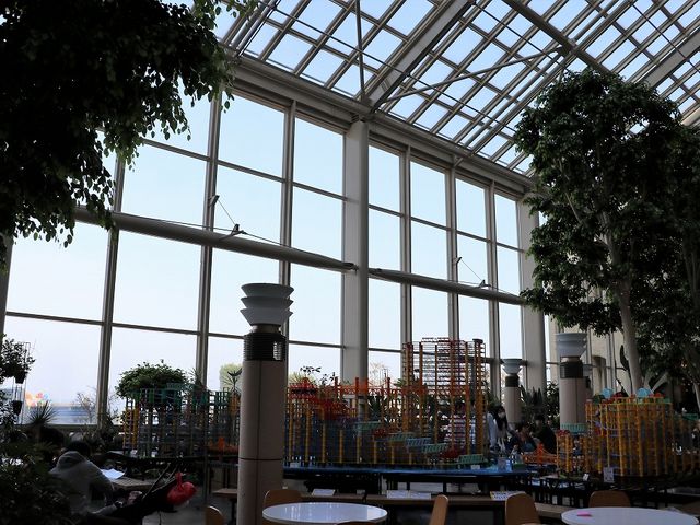 ���Y�ق̓����B�����Ȏq�ǂ������̗V��܂ł���܂����B_�W�H�n�C�E�F�C�I�A�V�X