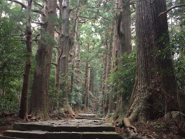 �Ώ�ɗ��j����_�F��Ó�