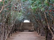 ̂̊ՒJ_Ђ̃coL̓eʐ^1