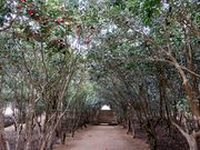 ̂̊ՒJ_Ђ̃coL̓eʐ^2