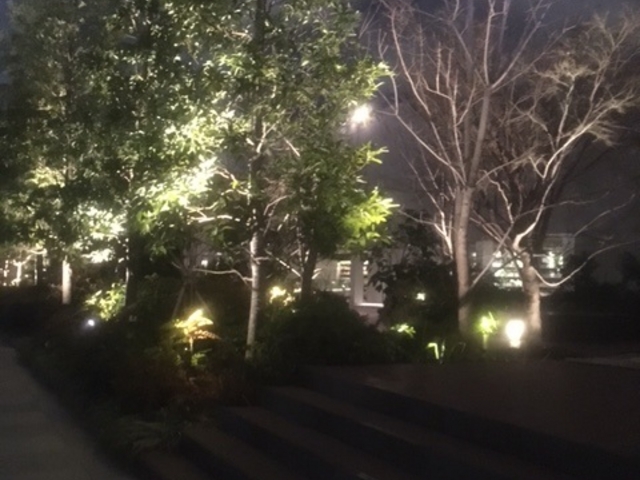 GINZA SIX�@����뉀_GINZA SIX