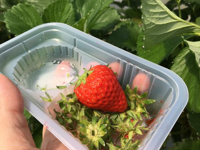 �����Ȃ�����_�n糂�������