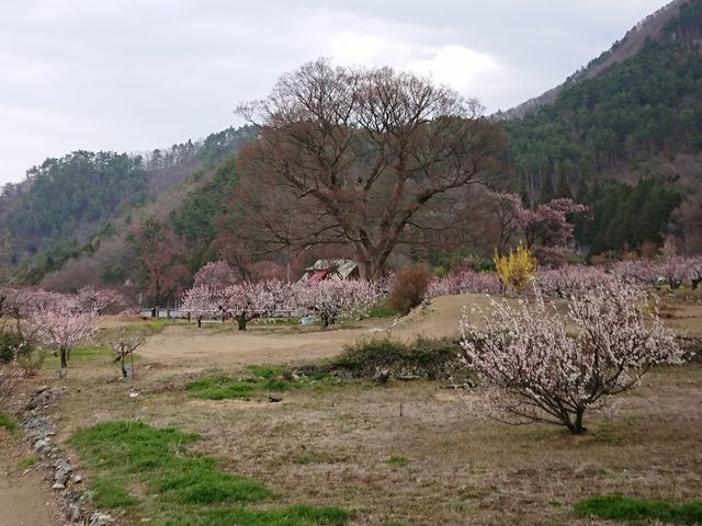 EoC No.2 de JH0PCO_񂸂̗