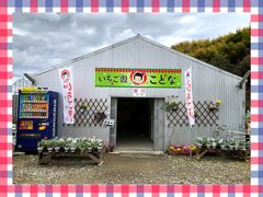 入口（　受付   ）_Eitoku Farm いちご園 【瑚愛～ことな～】