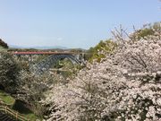 poporon̐C̃\CVm̓eʐ^1