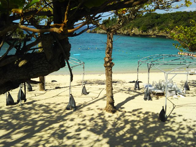 ���ꂢ�ȊC_�Ɍv�r�[�`